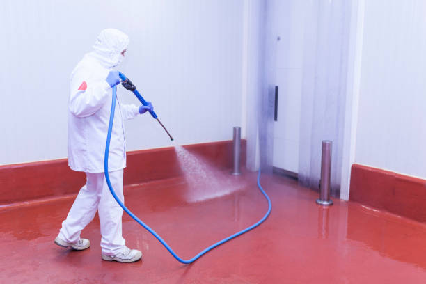  Sylvania, GA Pressure Washing Pros
