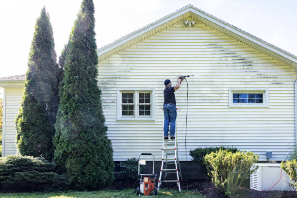 Best Driveway Pressure Washing  in Sylvania, GA