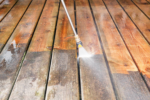 Professional  Pressure Washing Services in Sylvania, GA