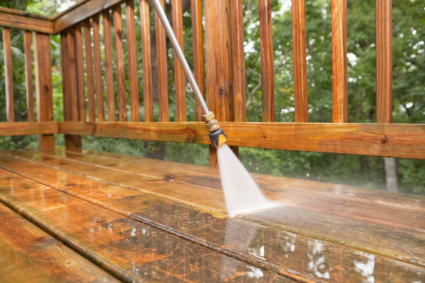 Best Animal Enclosure Cleaning  in Sylvania, GA